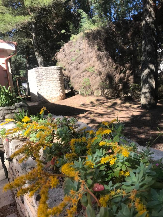 Nature, Memories And Garden Shower At Casa Del Castello Кастел дел Монте Екстериор снимка